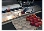 SmartPackr - Fruit Packing Robot
