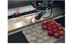 SmartPackr - Fruit Packing Robot