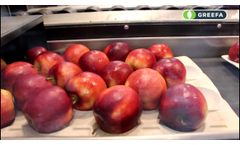 Greefa SmartPackr at Royal Fruitmasters Video