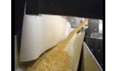TOXTRI 150 - Optical sorting for corn contaminated with aflatoxin - by Protec Video