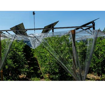 Solar Panels for Arboriculture - Orchards - Agriculture