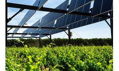 Agrivoltaism - Double Photovoltaic Solar Panels System