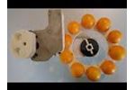 Esther penetrometer for fruits by Agrosta - Video