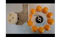 Esther penetrometer for fruits by Agrosta - Video