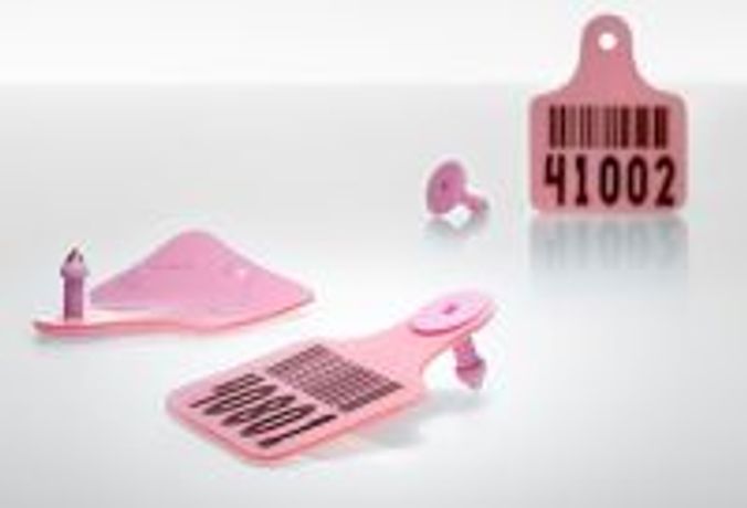 Rain Rfid Cattle Ear Tag for Animal ID - Agriculture - Livestock