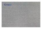 Entex - Polyamide Woven Filter Cloth