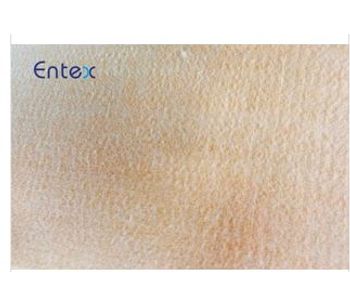 Entex - Acrylic Needle Felt