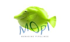 PipeWay - Version MOPI - IT System for Managing Pipeline