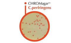 CHROMagar - Model C - Perfringens