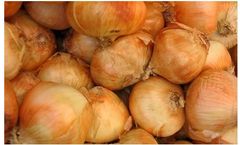 BountiGel  - Granular for Onions