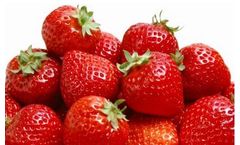 BountiGel - Granular for Strawberries