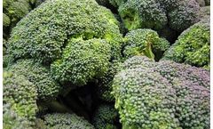 BountiGel - Granular for Broccoli