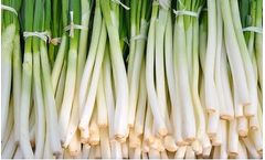 BountiGel - Granular for Green Onions