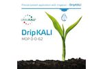 DripKALI Precise Potash Application with Irrigation - Brochure