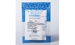 Elabscience - Model E-IR-R304 - Western Blot(WB) Related Reagents