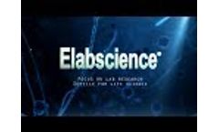 Introduction to Elabscience Biotechnology - Video