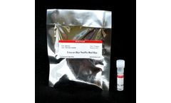 Live-or-Dye NucFix - Red Staining Kit