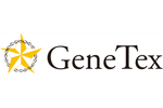 GeneTex - Model GTX109639 - Beta Actin Antibody