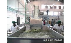 Bertuzzi InoxAll - Avocadoes Washer