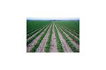 Alkaline water and soil treatment agriculture industry - Agriculture