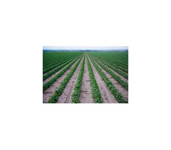 Alkaline water and soil treatment agriculture industry - Agriculture