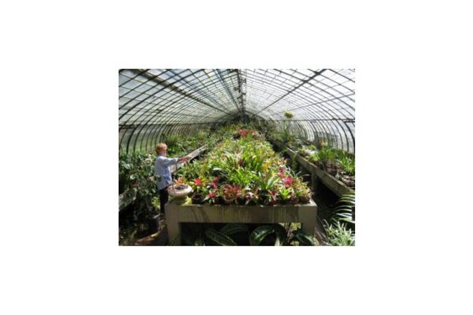 Alkaline water and soil treatment greenhouse sector - Agriculture - Horticulture