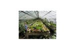 Alkaline water and soil treatment greenhouse sector - Agriculture - Horticulture