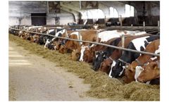 Advanced biotechnology solutions for dairy farming industry