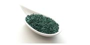 Blue-Green Microalgae