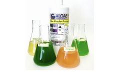 Algae Isochrysis - Research Quality Algae Feed