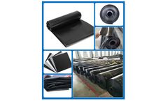 Shandong - HDPE LDPE LLDPE Geomembrane Factory Price
