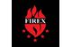 FIREX (Emirates Fire Fighting Equipment Factory LLC)