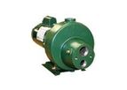 Model 1500XSW Series - Multistage Irrigation and Booster Pump