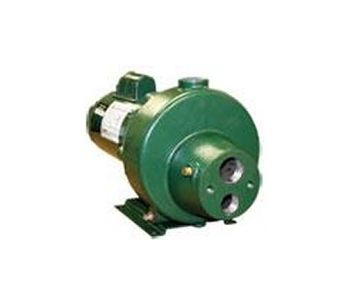 Model 1500XSW Series - Multistage Irrigation and Booster Pump