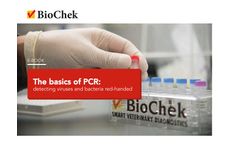 Poultry - PCR - Brochure