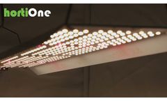hortiONE LED grow lights - Video