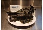 Ocean-Rainforest - Alaria Esculenta Seaweed