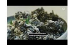 Nordic Seaweed - From Research to Innovative Business Opportunities - Video