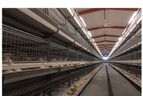 Livi - Automatic Broiler Cage System