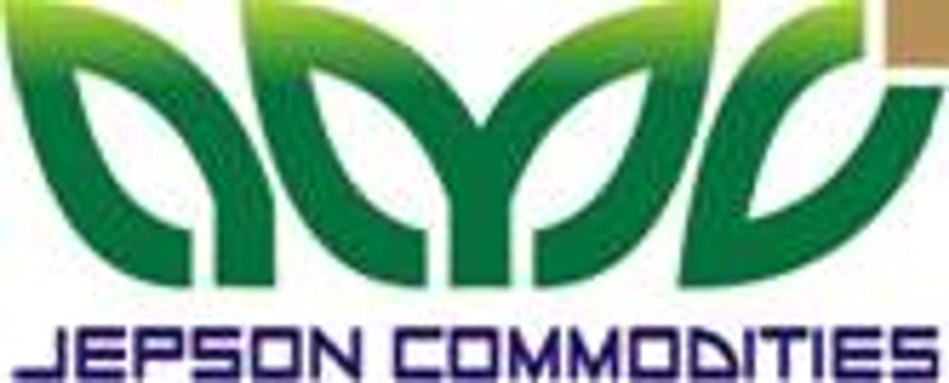 Jepson Commodities Pvt Ltd.