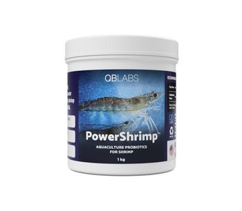 QB Labs - Model PowerShrimp - Concentrated Probiotic Solution for Shrimp