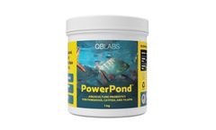 QB Labs - Model PowerPond - Cutting-edge Probiotic Blend for Tilapia, Pangasius, Carp, and other Pond-farmed Fish