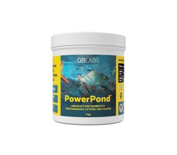 QB Labs - Model PowerPond - Cutting-edge Probiotic Blend for Tilapia, Pangasius, Carp, and other Pond-farmed Fish