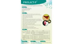 Prolact - Model P - Probiotics Poultry Feed Supplement for Chicken - Brochure