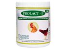 Prolact - Model P - Probiotics Poultry Feed Supplement for Chicken