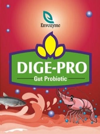 Envozyme - Model DIGE-PRO - Gut Probiotic Shrimp Feed