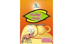 Sludge Magic - Sludge Removing Probiotic