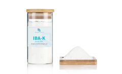 Indole - Model 3 - Butyric Acid Potassium Salt