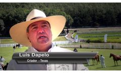 XXX Peruvian Paso Horse Championship - Video