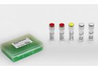 Jena - Model PCR-111S & PCR-111L - Direct PCR Master Kit